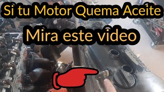 3 Cosas Que Hacen Que El Motor de Tu Carro Queme Aceite y No Son Anillos Ni Sellos De Valvulas [upl. by Alejandro]