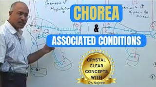 Chorea and its Associated Conditions  Neurophysiology🧠 [upl. by Fidellas]