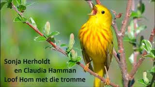 Sonja Herholdt en Claudia Hamman  Loof Hom met die tromme [upl. by Anaiq148]