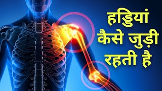 हड्डियां आपस में कैसे जुड़ी रहती हैं  Bone joints in hindi [upl. by Eindys805]