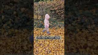 Herbst max cute spielen laub shortvideo [upl. by Edas]