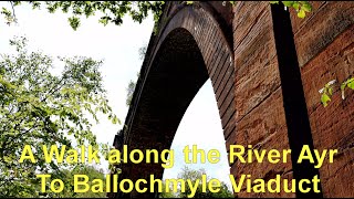 Catrine to Ballochmyle Viaduct along the River Ayr East Ayrshire Scotland 4K [upl. by Omrelliug745]