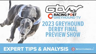 Greyhound Derby Final 2023 Preview Show  Racing Post [upl. by Ylla858]