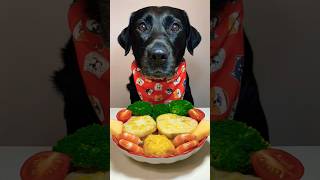 My mother fried the dog version of lotus root box for me and the dog version of golden chicken [upl. by Ainos364]