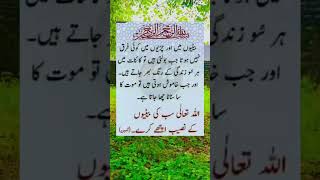 Part154 quotes urdu poetry explore viralvideo youtubeshorts [upl. by Novoj]