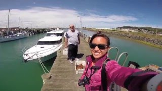 Crayfishing in Bluff NZ [upl. by Nameerf181]