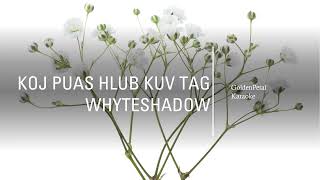 Whyteshadow  Koj puas hlub kuv tag karaoke [upl. by Aicssej]