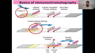 Immunochromatographic Assay or Technique I Guide to Immunochromatographic Assay [upl. by Alitta]