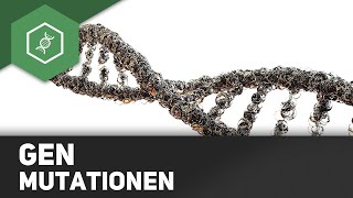 Genmutationen  Rastermutationen Insertion Deletion [upl. by Mike658]