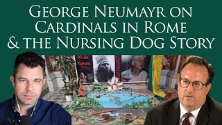 Dog Nursing Story amp Cardinals in Rome with George Neumayr Dr Taylor Marshall 314 [upl. by Osterhus]