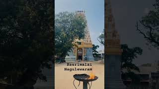 tamil sivan pakthan keerimalai naguleswaram vibe [upl. by Netti845]