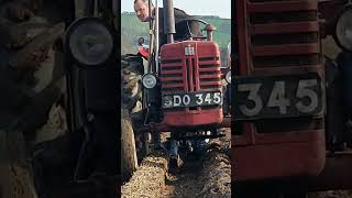 International Harvester B275 Tractor at Southwell Ploughing Match  9th March 2024 [upl. by Lilllie510]