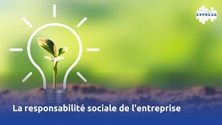 La responsabilité sociale de lentreprise [upl. by Miett]