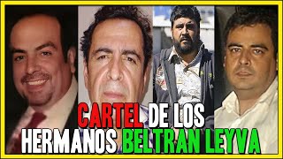 Cartel de los Hermanos BELTRAN LEYVA Su historia en 1 video [upl. by Esinyl]