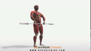 Exercise Videos Barbell Upright Row [upl. by Dixil]