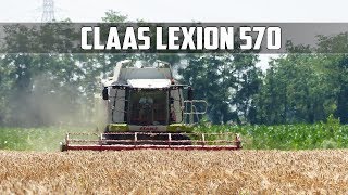 Agromeccanica Assanelli  Claas Lexion 570 [upl. by Cinnamon]