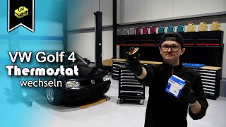 VW Golf 4 19 TDI Thermostat wechseln  Change the VW Golf 4 thermostat  VitjaWolf  Tutorial [upl. by Eveiveneg]