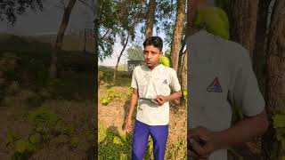 OBJ sunny devji wala funny comedy sunnydeoldailog sunnydayal sorts sunnydeoldailogue fun [upl. by Ziana394]