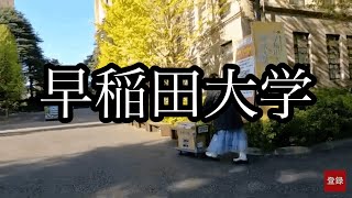 【早稲田大学】早稲田駅→キャンパス2024年11月9日 [upl. by Anerda854]