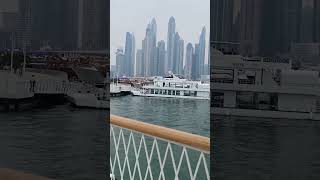 Chef plus dubai life fypシ゚viral trendingshortsvideo viralvideo dubai [upl. by Olegnaleahcim]