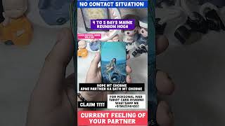 Current feeling of your no contact partner situation 10 10 portal 10 10 2024 wish come true tarot [upl. by Esnahc]