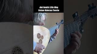 Little Wing Jimi Hendrix Stefano Maiorana Theorbo  Short [upl. by Settera]