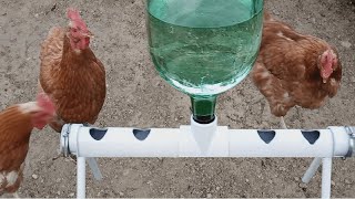 Bebedero para gallinas ponedoras PVC [upl. by Runkel]