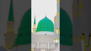 Mai akela or🥺😭madina love muhammedﷺ youtubeshorts jummahmubarak jumma reels madinah viral [upl. by Ilrebma352]