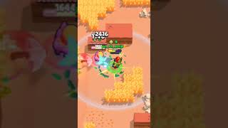 Main Lilyforyou brawlstars mainlilycapcut [upl. by Nuhsyar993]