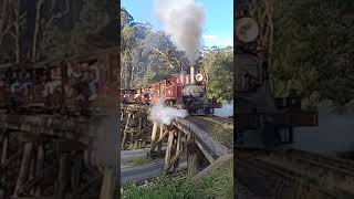 World famous Trestle Bridge Dandenong Ranges Victoria Australia train steamengine australia [upl. by Dart44]