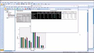 Calculating Descriptive Statistics in SPSS [upl. by Neram966]