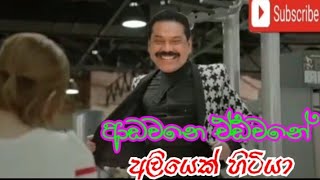 ආඩවනෙ ඒඩවනෙ අලියෙක් හිටියාadawane adawane aliyek hitiya [upl. by Dunson780]