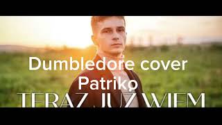 Patriko ft Rembol  Teraz już wiem Dumbledore cover [upl. by Anel833]