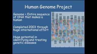 DNA structure amp HGP GCSE Combined Science Biology [upl. by Sladen]