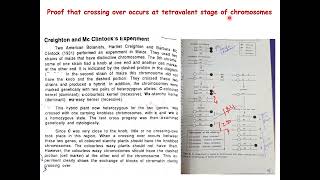 Creighton amp McClintoks Experiment in maize Genetics Crossing Over Botany biology [upl. by Iahk]