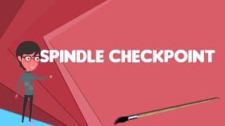 What is Spindle checkpoint Explain Spindle checkpoint Define Spindle checkpoint [upl. by Einon836]