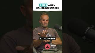 5 Tips for the SAFE Handling of Snakes [upl. by Daisy355]