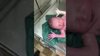 A new born Baby Cleaning with oil By F Male Staff She is Good Baby [upl. by Jeffers]