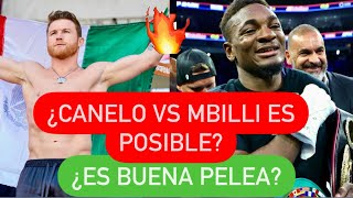 ¿CANELO CON MBILLI QUIÉN SE APUNTA A ESTA PELEA canelo [upl. by Franciska]