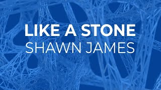 shawn james  like a stone audioslave cover lyrics [upl. by Atirihs]