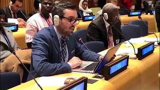 IFMSAs intervention at United Nations ECOSOC Youth Forum 2019 [upl. by Gaut55]