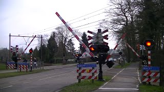 Spoorwegovergang DriebergenZeist  Dutch railroad crossing [upl. by Airbmac]