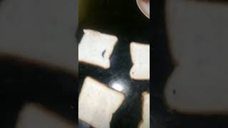 Mutton Tikkiya Bread Bbugger Recipie  Ayesha vlog amp kitchen  yuotbe short videio viral Treading [upl. by Haleelahk701]