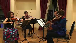 Kodaly Intermezzo for String Trio [upl. by Collette]