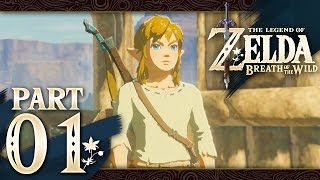 The Legend of Zelda Breath of the Wild  Part 1  Resurrection [upl. by Aneerbas542]