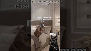 Cat meme when you dont want to go to school cat relatable meme [upl. by Ffej]