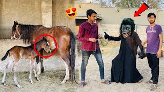 Hamari Horse Ne Bacha De Diya 😍 Gorilla Ki is Pr Nazar Hy 😰 [upl. by Savihc]