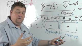 ECT4Health  Oedema edema and how fluid leaks out of Capillaries [upl. by Ainex]