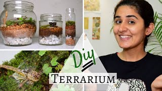 How to Make a Terrarium for Free 💚 [upl. by Preiser332]