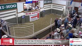 2023 International Livestock Auctioneer Championship  Preliminaries  Olds AB [upl. by Siletotsira]